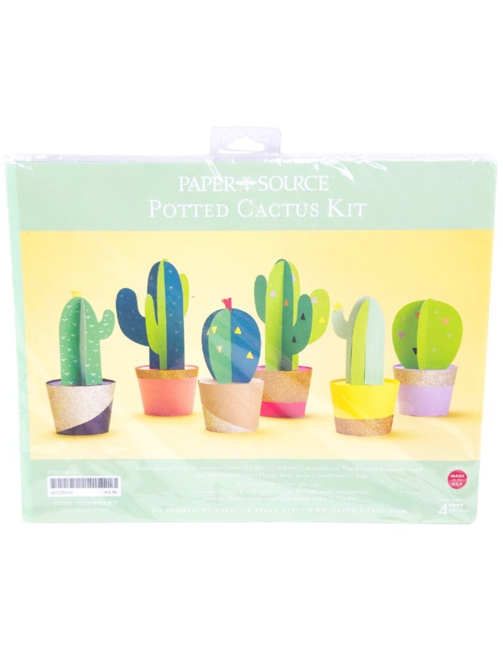 Paper Source Potted Cactus Decoration Kit